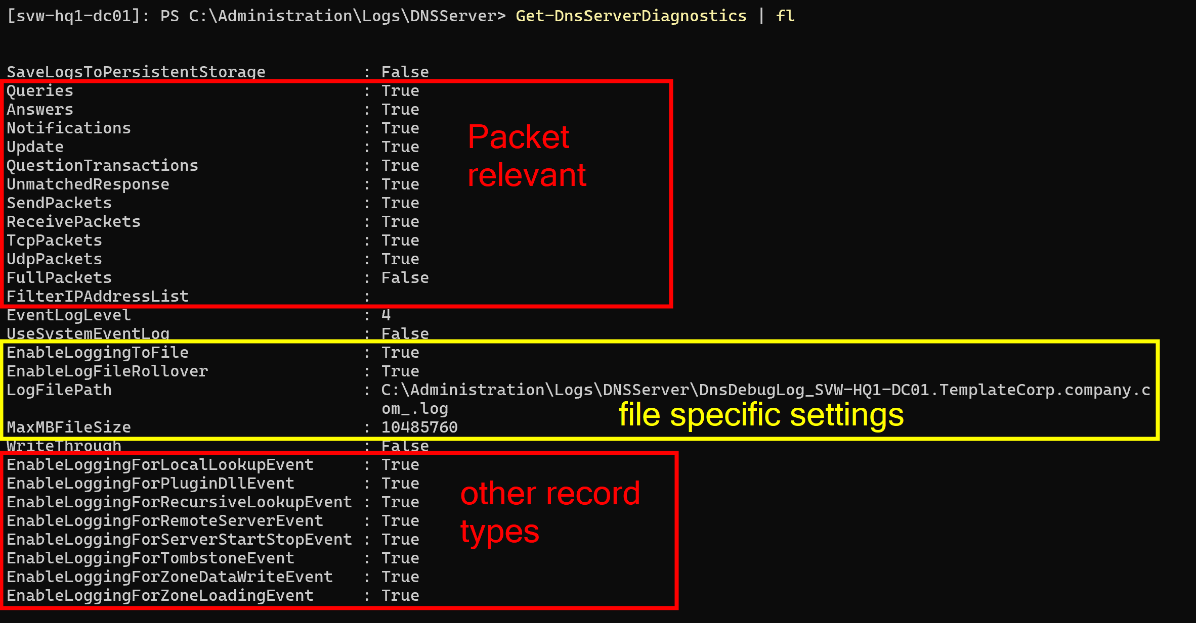 DNS Server Debug Log Settings via PowerShell